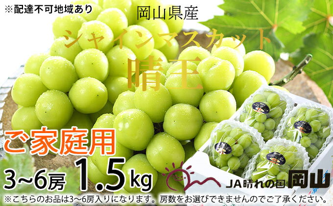 【ふるさと納税】ぶどう 2025年 先行予約 ご家庭用 シャイン マスカット 晴王 3～6房 約1.5kg ブドウ 葡萄 岡山県産 国産 フルーツ 果物 岡山のぶどう 旬のフルーツ 旬の果物 大粒 種無し 　お届け：2025年8月下旬～2025年11月下旬