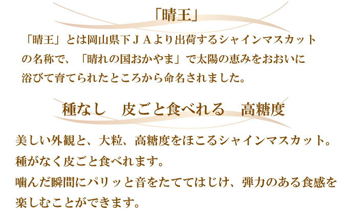 【ふるさと納税】ぶどう 2026年 先行予約 ご家庭用 シャイン マスカット 晴王 約500g×2房 ブドウ 葡萄 岡山県産 国産 フルーツ 果物 岡山のぶどう 旬のフルーツ 旬の果物 大粒 種無し 　お届け：2026年8月下旬〜2026年11月下旬 f332127-setouchi-10001362 岡山県瀬戸内市 サンプル画像3