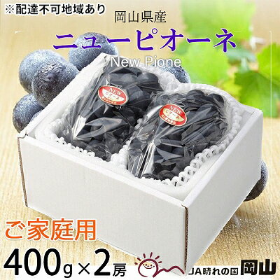 【ふるさと納税】ぶどう 2025年 先行予約 ご家庭用 ニュー ピオーネ 約400g×2房 ブドウ 葡萄 岡山県産 国産 フルーツ 果物 岡山のぶどう 旬のフルーツ 旬の果物 大粒 種無し お届け:2025年8月下旬~2025年10月上旬