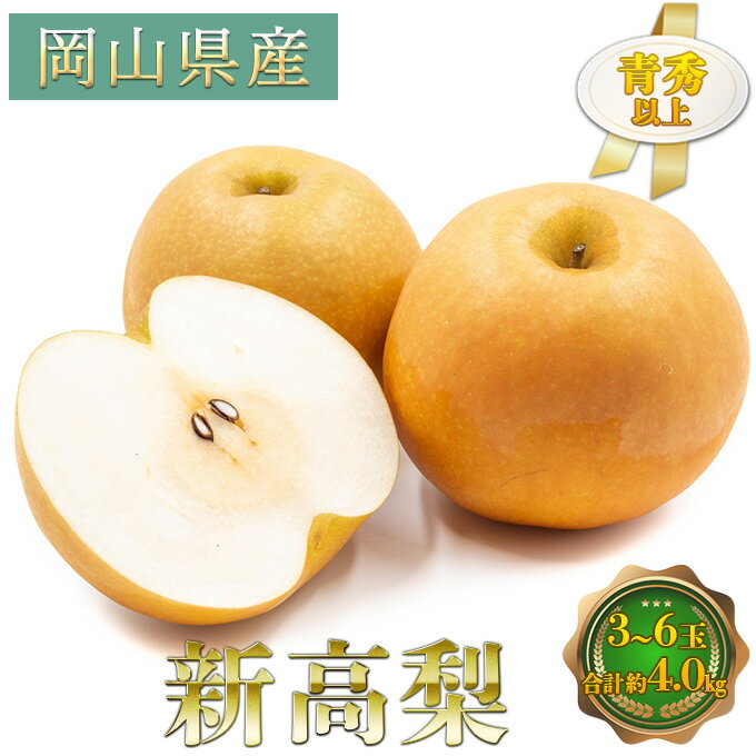 【ふるさと納税】梨 2025年 先行予約 新高梨 3~6玉 青秀以上 合計約4.0kg 梨 なし 果物 フルーツ 岡山県産 化粧箱入り 大きさ 形 おいしさ 梨の王様 大玉 甘い みずみずしく 上品 風味 シャリシャリ 食感 お届け:2025年9月中旬~2025年10月中旬