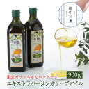【ふるさと納税】御中元 オーガニック 有機 オリーブオイル 450g×2本 セット 調味料 オリーブ油 フルーティー ブレンド 有機JAS認定 ギフト お届け...