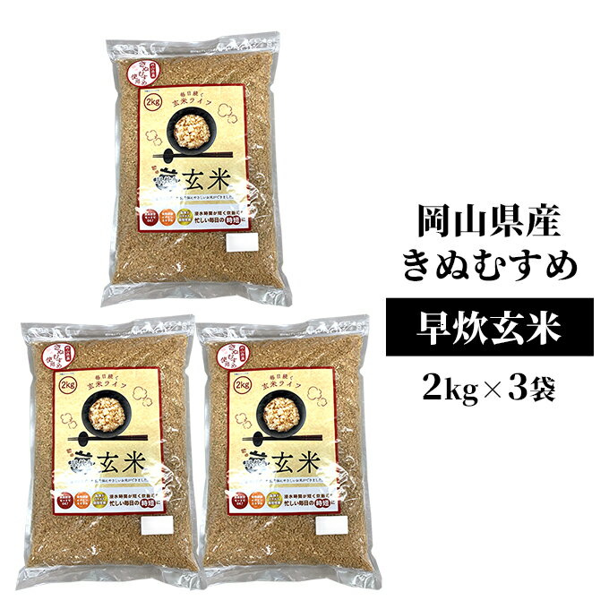 【ふるさと納税】早炊 玄米 岡山県産 きぬむすめ 2kg×3袋 お米 国内産　【 ご飯 おにぎり お弁当 和食 国産 産地直送 玄米食 玄米の栄養素 】