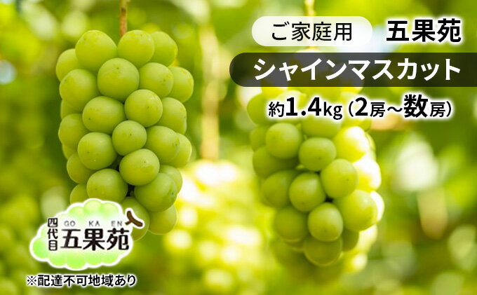 【ふるさと納税】ぶどう 2025年 先行予約 ご家庭用 シャインマスカット 約1.4kg（2房～数房） ぶどう フルーツ 果物 岡山 五果苑 岡山のぶどう 岡山の果物 岡山のフルーツ 産地直送 　お届け：2025年9月中旬～2025年10月下旬