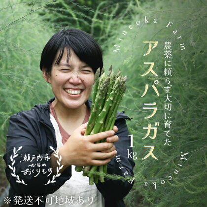 アスパラガス 1kg 野菜 アスパラ　【 朝収穫 朝どれ 国産 国産野菜 採れたて野菜 産地直送 旬の野菜 】　お届け：2024年4月中旬～2024年6月下旬