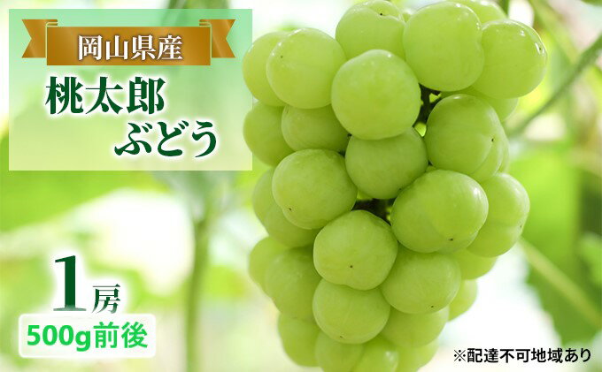【ふるさと納税】ぶどう 2025年 先行予約 桃太郎 ぶどう 1房 500g前後 ブドウ 葡萄 岡山県産 国産 フルーツ 果物 ギフト 　お届け：2025年9月上旬～2025年10月上旬