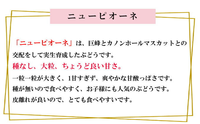 【ふるさと納税】ぶどう 2025年 先行予約 ニュー ピオーネ 約500g×2房 種無し ブドウ 葡萄 岡山県産 国産 フルーツ 果物 ギフト デザート 果実 美しい 大粒 高糖度 皮ごと 食べ応え 芳醇 甘い 果汁 食べやすい 大人気 　お届け：2025年8月下旬～2025年9月下旬