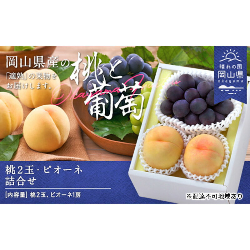 【ふるさと納税】桃 ぶどう 2025年 先行予約 果物 詰合せ 白桃 晩生種 2玉 ニュー ピオーネ 1房 合計約1.0kg もも 葡萄 岡山県産 国産 フルーツ 果物 ギフト お届け:2025年8月下旬~2025年9月中旬