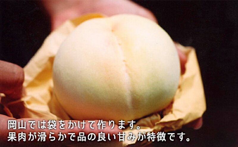 【ふるさと納税】桃 ぶどう 2025年 白桃 晩生種 2玉 シャイン マスカット 1房 合計約1.0kg もも 葡萄 岡山県産 国産 フルーツ 果物 ギフト 　お届け：2025年8月下旬～2025年9月中旬