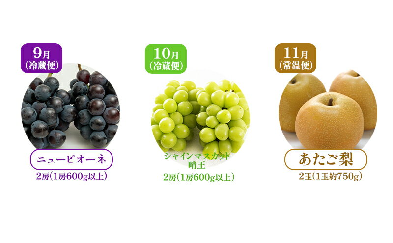 【ふるさと納税】ぶどう 梨 定期便 2025年 先行予約 フルーツ王国 岡山を堪能 定期便 3回コース 葡萄 ぶどう 梨 なし 岡山県産 国産 果物 セット ギフト 　お届け：2025年9月上旬～2025年11月下旬