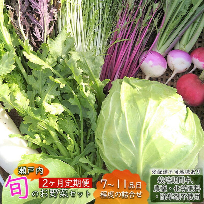 2位! 口コミ数「0件」評価「0」2ヶ月 定期便 瀬戸内「旬」のお野菜セット 7～11品目程度の詰合せ 野菜 農薬 化学肥料 除草剤不使用 岡山 M’s farm　【定期便・･･･ 