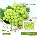 【ふるさと納税】ぶどう 2025年 先行予約 ご家庭用 シャイン マスカット 約1.2kg 2~3房 ブドウ 葡萄 岡山県産 国産 フルーツ 果物 直送!せとうちバスケット お届け:2025年9月中旬~2025年10月下旬