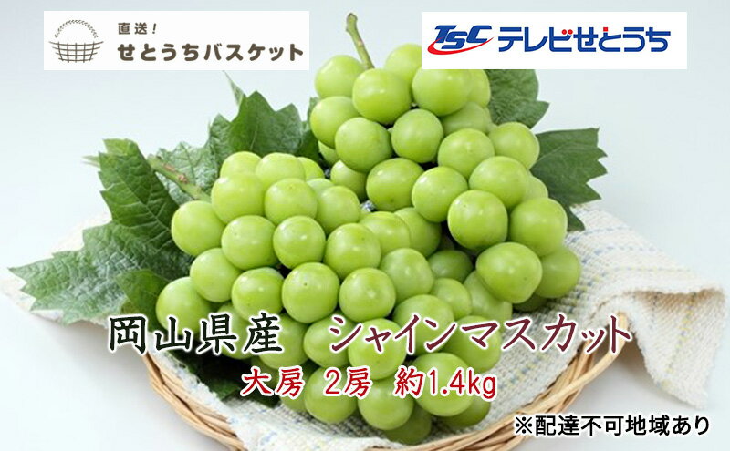 【ふるさと納税】ぶどう 2026年 先行予約 シャインマスカット 大房 2房 約1.4kg ブドウ 葡萄 岡山県産 国産 フルーツ 果物 直送！せとうちバスケット 　お届け：2026年9月末頃～2026年10月中旬