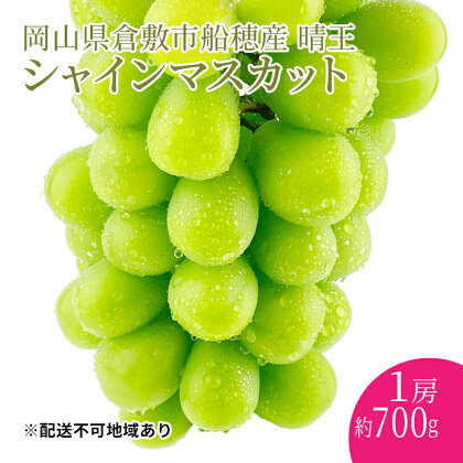 ぶどう 2024年 先行予約 シャインマスカット 晴王 1房 約700g 岡山県産 葡萄 ブドウ ギフト ハレノフルーツ 皮ごと食べる みずみずしい　【 瀬戸内市 】　お届け：2024年9月1日～2024年10月31日