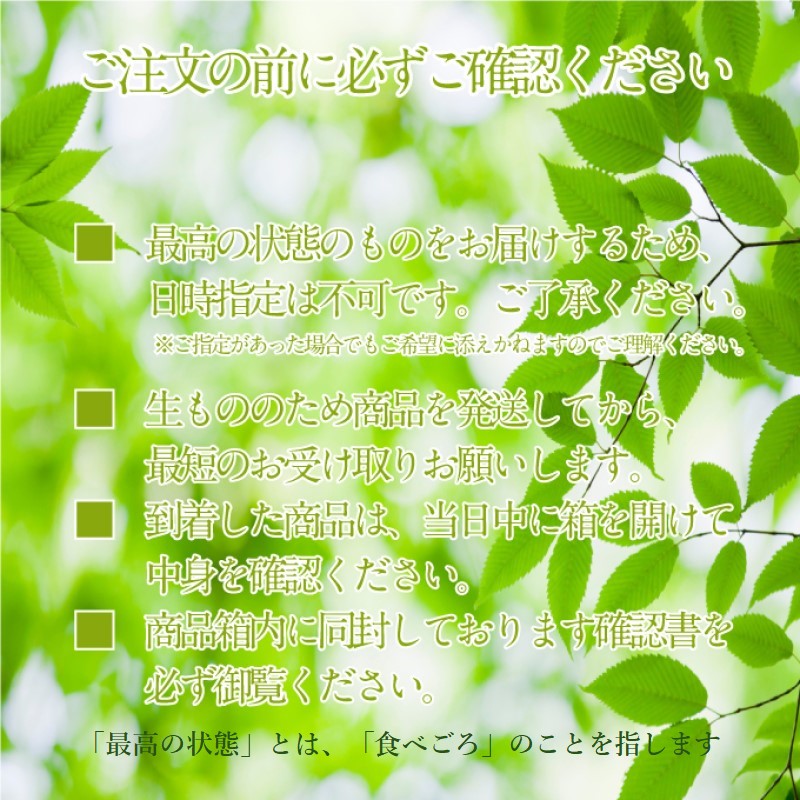 【ふるさと納税】ぶどう 2026年 先行予約 【プレミアムシャインマスカット 晴王 2房 合計約1.3kg 】船穂産 赤秀品以上 岡山県産 葡萄 ブドウ ギフト ハレノフルーツ 皮ごと食べる みずみずしい 岡山県 瀬戸内市 お届け：2026年9月中旬〜2026年10月下旬 f332127-setouchi-10001410 岡山県瀬戸内市 サンプル画像3
