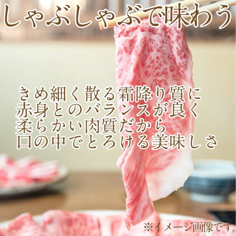 サンプル画像3