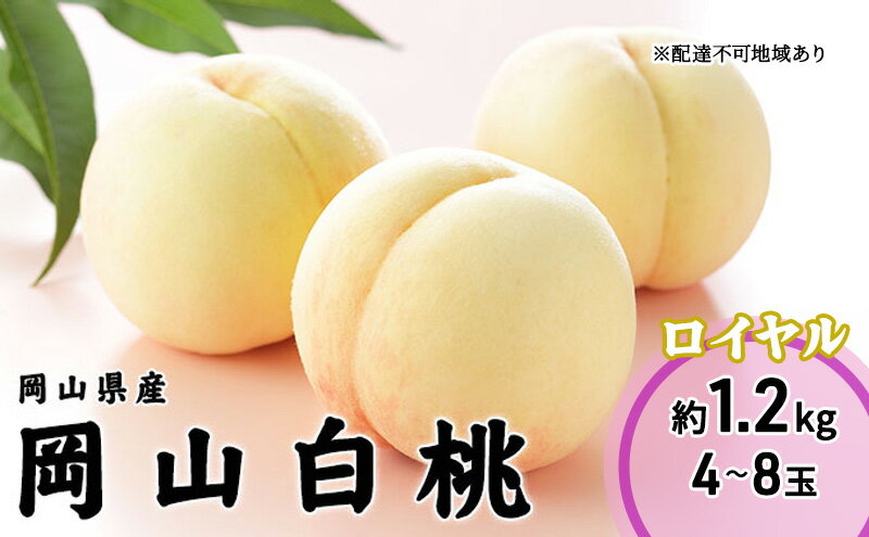 【お歳暮やお中元、手土産にも！！】フルーツセット(有機バナナ、りんご、柑橘)