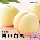 【ふるさと納税】桃 2025年 先行予約 岡山 白桃 ロイヤル 3玉×200g(Lサイズ) 岡山県産 JAおかやまのもも モモ 岡山県産 国産 フルーツ 果物 ギフト お届け:2025年7月上旬~2025年8月下旬
