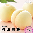 【ふるさと納税】桃 2025年 先行予約 岡山 白桃 エース 3玉×200g(Lサイズ) 岡山県産 JAおかやまのもも モモ 岡山県産 国産 フルーツ 果物 ギ...