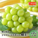 【ふるさと納税】ぶどう 2025年 先行予約 ご家庭用 シャイン マスカット 晴王 3~6房 約2kg ブドウ 葡萄 岡山県産 国産 フルーツ 果物 お届け:2025年8月下旬~2025年11月下旬(4)