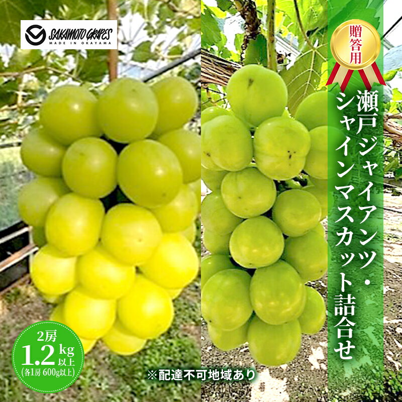 【ふるさと納税】瀬戸ジャイアンツ ・ シャインマスカット 詰合せ セット 2房1.2kg以上(各1房 600g以上) 贈答用 ぶどう ブドウ 葡萄 岡山県産 国産 フルーツ 果物 ギフト sakamoto grapes　【 瀬戸内市 】　お届け：2024年9月中旬～2024年10月下旬