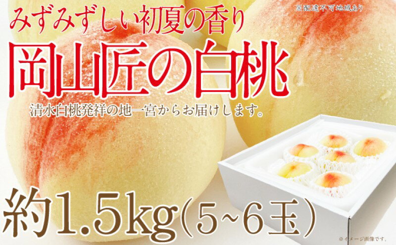 【ふるさと納税】もも 2025年 先行予約 岡山匠の白桃 約1.5kg 5～6玉 犬塚農園 岡山県産 清水白桃 桃 モモ ギフト 初夏 みずみずしい 　お届け：2025年6月25日～2025年7月31日