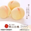 【ふるさと納税】桃 2025年 先行予約 白桃 8玉(2kg以上) 等級:ロイヤル 化粧箱入り もも モモ 岡山県産 国産 フルーツ 果物 セット ギフト お...