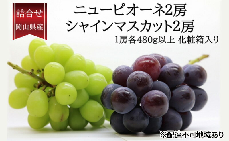 【ふるさと納税】ぶどう 2025年 先行予約 詰合/ニューピオーネ2房(1房480g以上)・シャインマスカット晴王2房(1房480g以上)　化粧箱入り ブドウ 葡萄 岡山県産 国産 フルーツ 果物 ギフト 　お届け：2025年9月上旬～2025年10月中旬