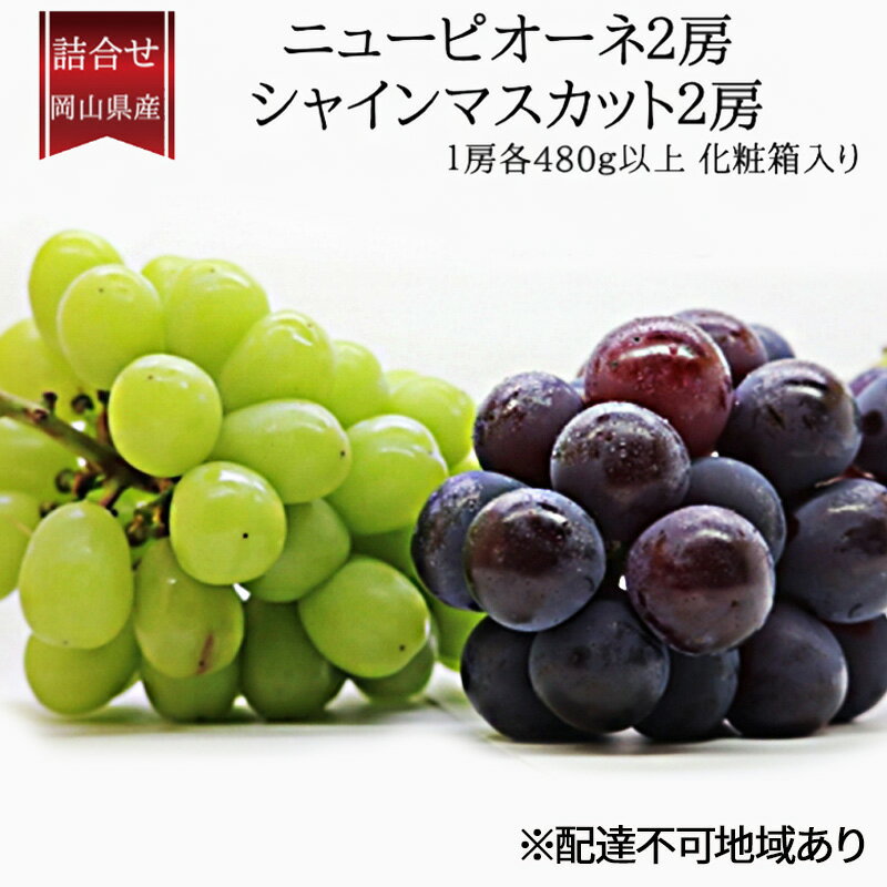 【ふるさと納税】ぶどう 2025年 先行予約 詰合/ニューピオーネ2房(1房480g以上)・シャインマスカット晴王2房(1房480g以上)　化粧箱入り ブドウ 葡萄 岡山県産 国産 フルーツ 果物 ギフト 　お届け：2025年9月上旬～2025年10月中旬