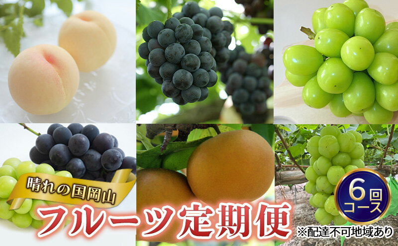【ふるさと納税】フルーツ 晴れの国 岡山 の フルーツ 定期便 6回コース 岡山県産 桃 もも 葡萄 ぶどう 梨 なし 2025年 先行予約 　お届け：2025年7月1日～2025年12月28日