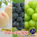 【ふるさと納税】フルーツ 定期便 2026年 先行予約 晴れの国 岡山 の 定期フルーツ定期便 3回コース桃 もも 葡萄 ブドウ 岡山県産 国産 セット ギフト...