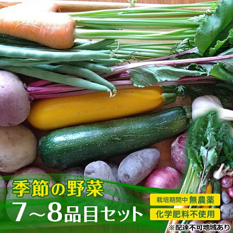 【ふるさと納税】季節の野菜 7～8品目 セット 栽培期間中 無農薬 化学肥料不使用 旬 野菜 岡山　お届け：2024年8月上旬～2025年2月下旬のサムネイル
