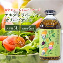 【ふるさと納税】定期便 6ヶ月 エキストラバージン オリーブオイル 大容量 5L ふるさと納税限定品
