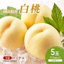 【ふるさと納税】桃 2026年 先行予約 岡山白桃 5玉(1.5kg以上) 等級:ロイヤル 化粧箱入り もも モモ 岡山県産 国産 フルーツ 果物 セット ギフト お届け:2025年7月上旬~2025年8月中旬