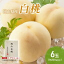 【ふるさと納税】桃 2025年 先行予約 岡山白桃 6玉(1玉330g以上)等級:ロイヤル 木箱入り もも モモ 岡山県産 国産 フルーツ 果物 セット ギフト...