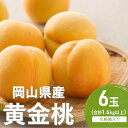 【ふるさと納税】桃 2026年 先行予約 黄金桃 6玉(1.6kg以上) 化粧箱入り もも モモ 岡山県産 国産 フルーツ 果物 セット ギフト お届け:2026年8月下旬~2026年9月中旬