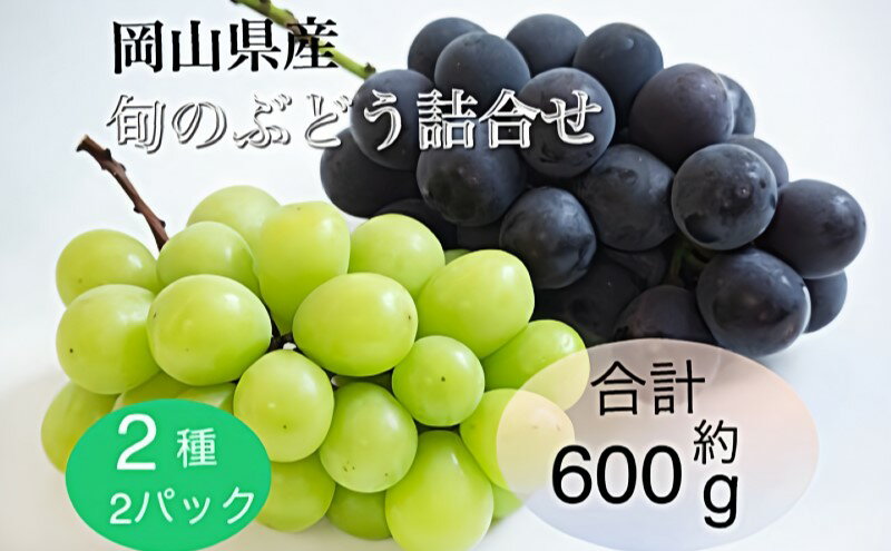 【ふるさと納税】ぶどう 2025年 先行予約 旬のぶどう詰合せ 2種2パックセット(ニューピオーネ1房約300g×1P、シャインマスカット晴王1房約300g×1P)　お届け：2025年9月上旬～2025年10月下旬