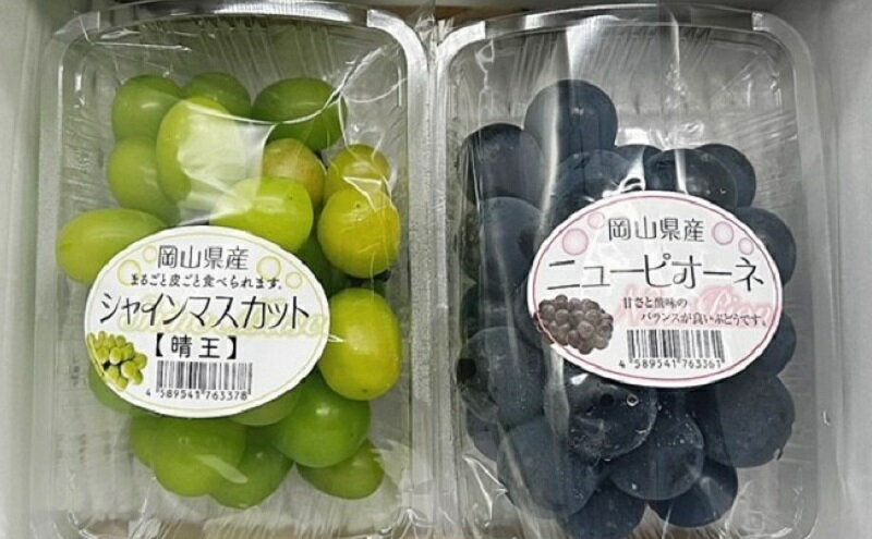 【ふるさと納税】ぶどう 2025年 先行予約 旬のぶどう詰合せ 2種2パックセット(ニューピオーネ1房約300g×1P、シャインマスカット晴王1房約300g×1P)　お届け：2025年9月上旬～2025年10月下旬