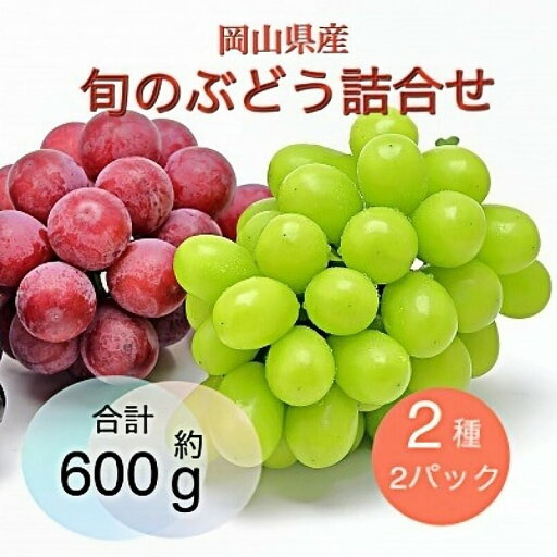 【ふるさと納税】ぶどう 2025年 先行予約 旬のぶどう詰合せ 2種2パックセット(シャインマスカット晴王1房約300g×1P、旬のぶどうお任せ1房約300g×1P) お届け:2025年9月上旬~2025年11月下旬 【ふるさと納税】ぶどう 2025年 先行予約 旬のぶどう詰合せ 2種2パックセット(シャインマスカット晴王1房約300g×1P、旬のぶどうお任せ1房約300g×1P) お届け:2025年9月上旬~2025年11月下旬