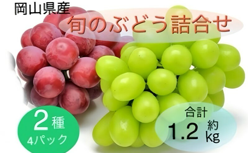 【ふるさと納税】ぶどう 2025年 先行予約 旬のぶどう詰合せ 2種4パックセット(シャインマスカット晴王1房約300g×2P、旬のぶどうお任せ1房約300g×2P)　お届け：2025年9月上旬～2025年11月下旬