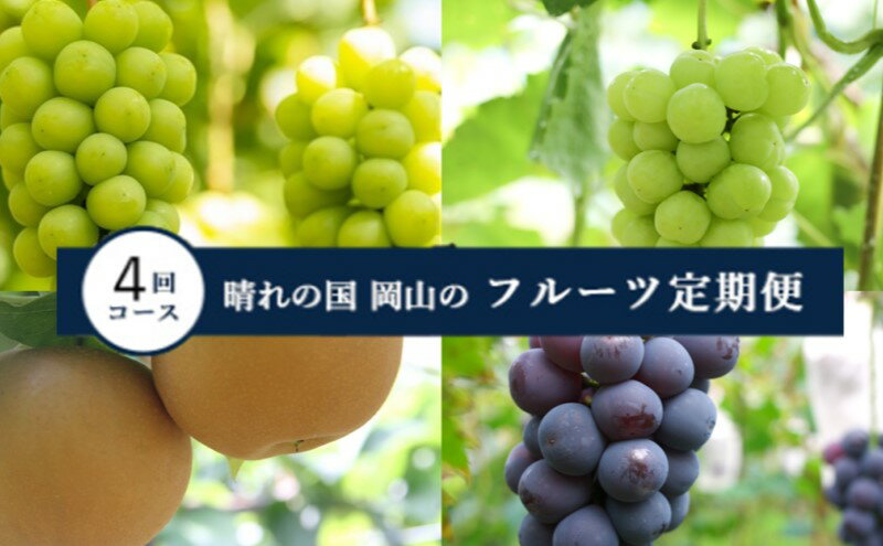 【ふるさと納税】【2025年 先行予約 】晴れの国 岡山 の フルーツ 定期便 4回コース 岡山県産 葡萄 ぶどう 梨 なし　お届け：2025年9月1日～2025年12月31日