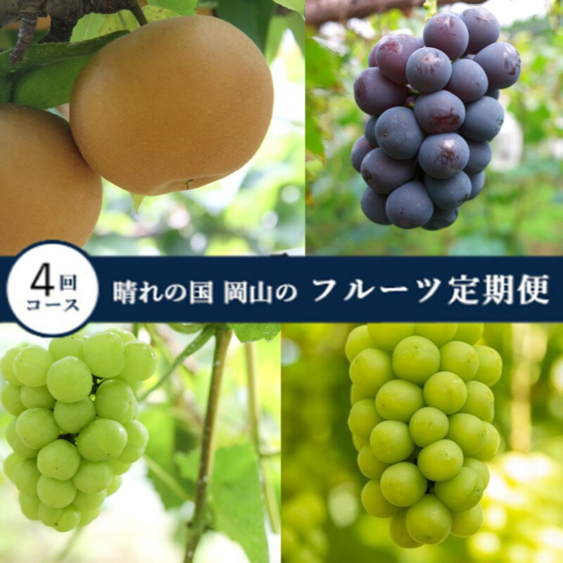 【ふるさと納税】【2025年 先行予約 】晴れの国 岡山 の フルーツ 定期便 4回コース 岡山県産 葡萄 ぶどう 梨 なし お届け:2025年9月1日~2025年12月31日