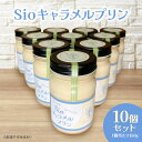 【ふるさと納税】Sio キャラメルプリン 150g×10p セット プリン スイーツ デザート 岡山 瀬戸内市