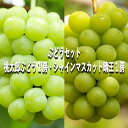 【ふるさと納税】ぶどう 【2025年 早期受付】 ぶどうセット 桃太郎ぶどう 1房 ・ シャインマスカット 晴王 1房(合計約1kg) ブドウ 葡萄 岡山県産 ...