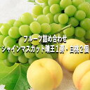 【ふるさと納税】桃 ぶどう 【2025年 早期受付】 フルーツ詰め合わせ シャインマスカット 晴王 1房 ・ 白桃 2個 もも ブドウ 葡萄 岡山県産 国産 フ...