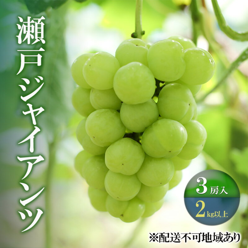 【ふるさと納税】ぶどう 【2025年 先行予約】 瀬戸ジャイアンツ 3房(合計2kg以上) ブドウ 葡萄 岡山県産 国産 フルーツ 果物 ギフト 河本農園 お届け:2025年9月上旬~2025年9月30日