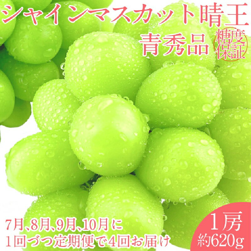 【ふるさと納税】2025年 予約受付中【4回定期便】 シャインマスカット 晴王1房 約620g 7月～10月出荷/ 岡山県産 種無し 皮ごと食べる みずみずしい フレッシュ 晴れの国 おかやま 果物大国 彩美菜果　お届け：2025年7月中旬～2025年10月下旬