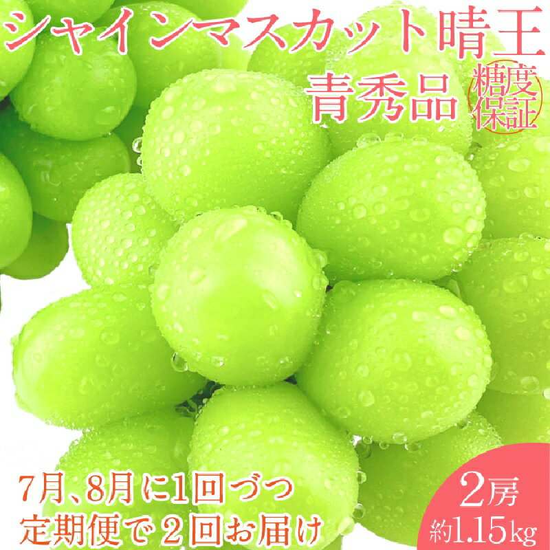 【ふるさと納税】2025年 予約受付中【2回定期便】 シャインマスカット 晴王 2房約1.15kg 7月～8月出荷/ 岡山県産 種無し 皮ごと食べる みずみずしい フレッシュ 晴れの国 おかやま 果物大国 彩美菜果　お届け：2025年7月中旬～2025年8月下旬