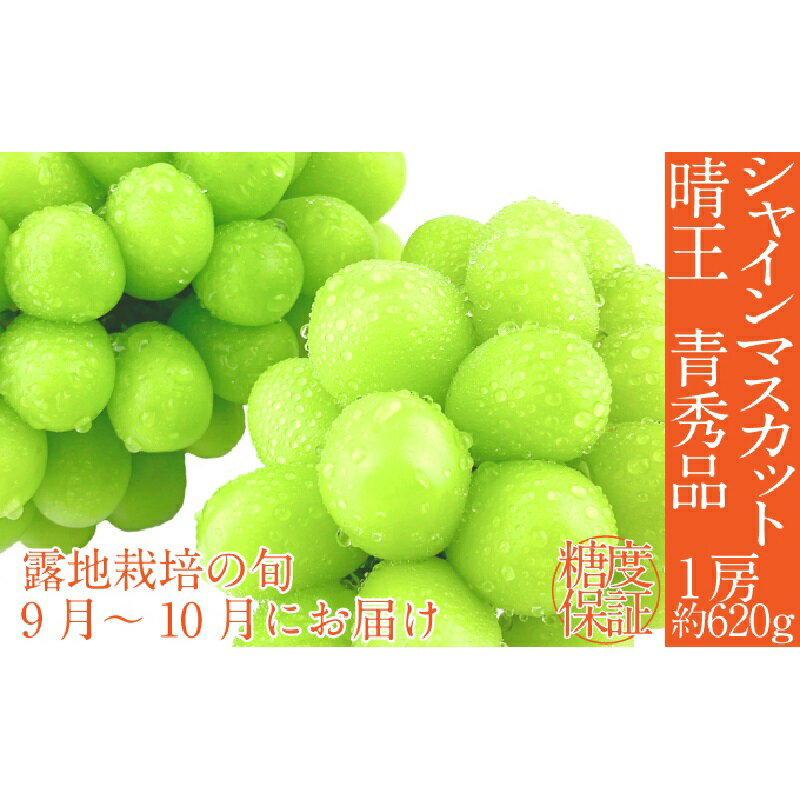 【ふるさと納税】【2025年 予約受付中】 シャインマスカット 晴王 1房約620g 9月~10月出荷/ 岡山県産 種無し 皮ごと食べる みずみずしい フレッシュ 晴れの国 おかやま 果物大国 彩美菜果 お届け:2025年9月上旬~2025年10月下旬