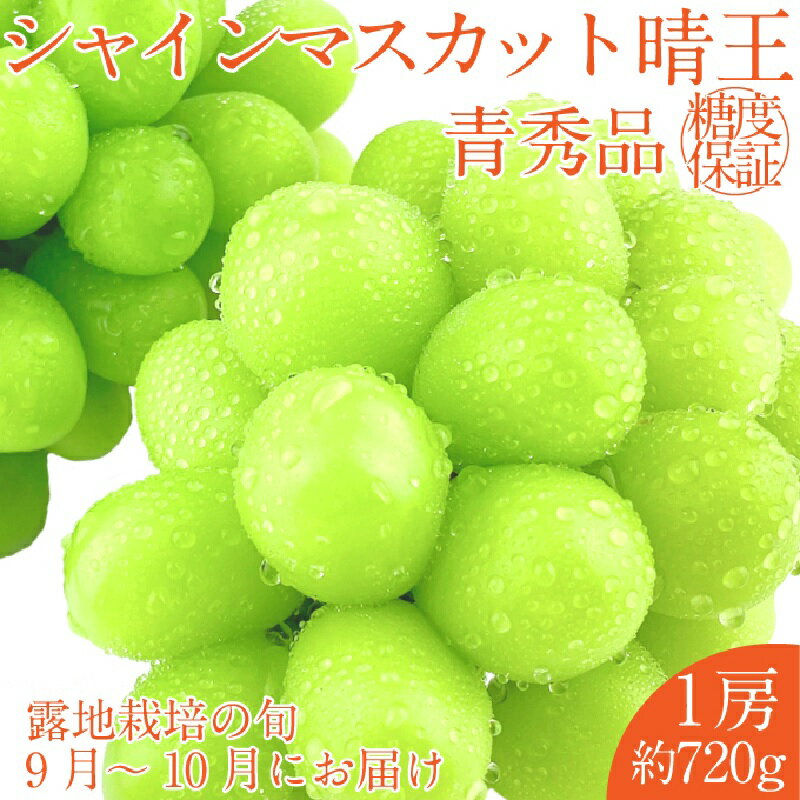【ふるさと納税】【2025年 予約受付中】 シャインマスカット 晴王 1房約720g 9月～10月出荷/ 岡山県産 種無し 皮ごと食べる みずみずしい フレッシュ 晴れの国 おかやま　 果物大国 彩美菜果　お届け：2025年9月中旬～2025年10月下旬