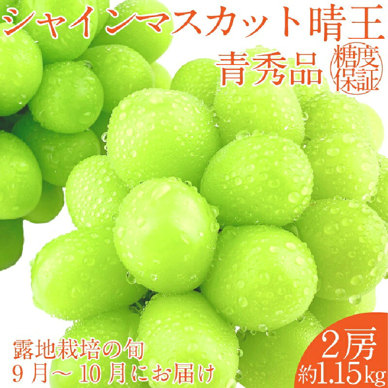 【ふるさと納税】【2026年 予約受付中】 シャインマスカット 晴王 2房約1.15kg 9月〜10月出荷/ 岡山県産 種無し 皮ごと食べる みずみずしい フレッシュ 晴れの国 おかやま 果物大国 彩美菜果　お届け：2026年9月〜2026年10月下旬